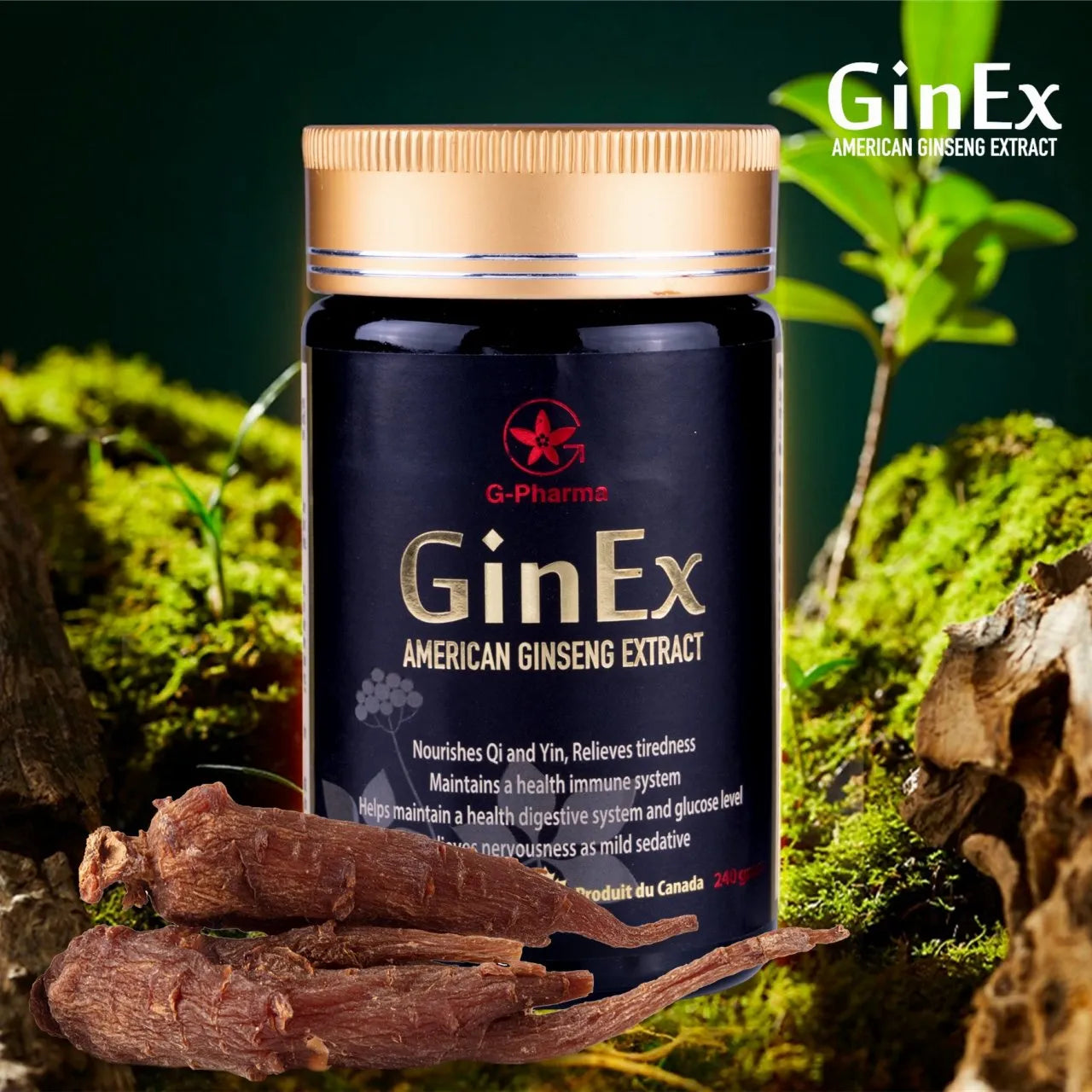GinEx® 西洋蔘黑膏滋 (纯膏剂-240g)