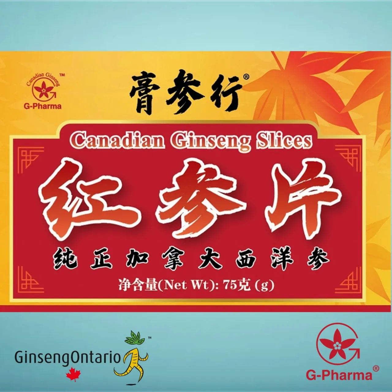 G-Pharma® American Ginseng thin slices (red ginseng, 75g)