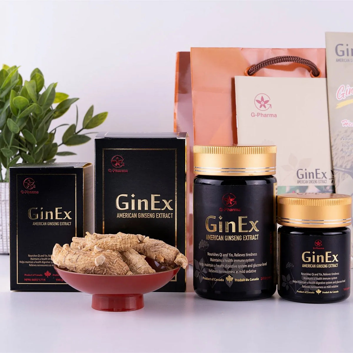 GinEx®100克 西洋参黑膏滋