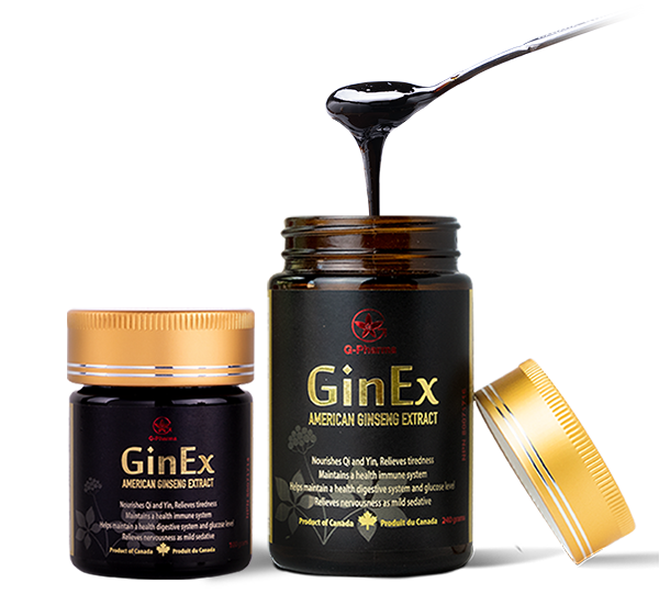 GinEx® 西洋参黑膏滋系列组合 (240g+100g)